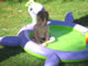 My Gallery: Image