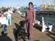 My Gallery: Image