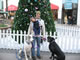 My Gallery: Image