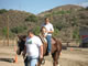 My Gallery: Image