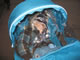 My Gallery: Image
