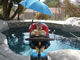 My Gallery: Image