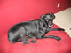 My Gallery: Image