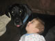My Gallery: Image