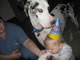 My Gallery: Image
