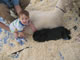 My Gallery: Image