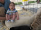 My Gallery: Image