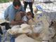 My Gallery: Image