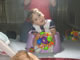 My Gallery: Image