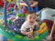 My Gallery: Image