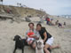 My Gallery: Image