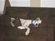 My Gallery: Image