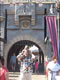 My Gallery: Image