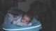 My Gallery: Image