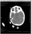 My Gallery: Image