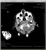 My Gallery: Image