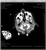 My Gallery: Image