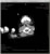 My Gallery: Image