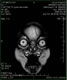 My Gallery: Image