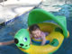 My Gallery: Image