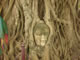 My Gallery: Image