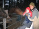 My Gallery: Image