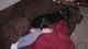 My Gallery: Image