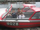 My Gallery: Image
