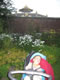 My Gallery: Image