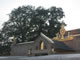 My Gallery: Image