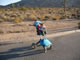 My Gallery: Image