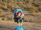 My Gallery: Image