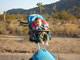My Gallery: Image