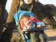 My Gallery: Image