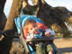 My Gallery: Image