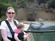 Yes that is a hippo back there