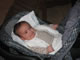 My Gallery: Image