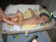 My Gallery: Image