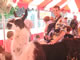 My Gallery: Image