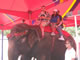 My Gallery: Image