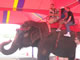 My Gallery: Image