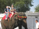 My Gallery: Image