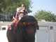 My Gallery: Image