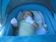 My Gallery: Image