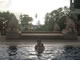 My Gallery: Image