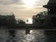 My Gallery: Image