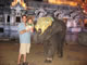 My Gallery: Image