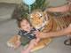 My Gallery: Image
