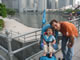 My Gallery: Image