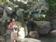 My Gallery: Image